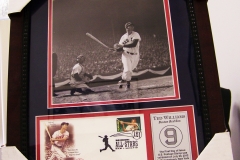 Ted Williams