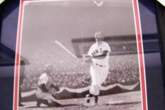 Ted Williams